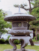 No.2 丸雪見 MARUYUKIMI